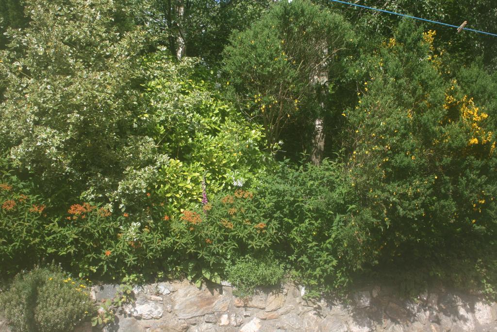 Laragh Mountain View Lodge Saggart Chambre photo