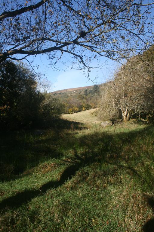 Laragh Mountain View Lodge Saggart Extérieur photo